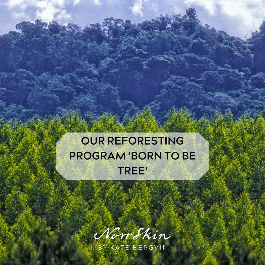 Born to be Tree Programm
