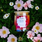 Seasonal candle and home fragrance subscription delivering Nordic-inspired scents every three months throughout the year.